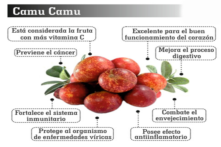 superfoods en queretaro 